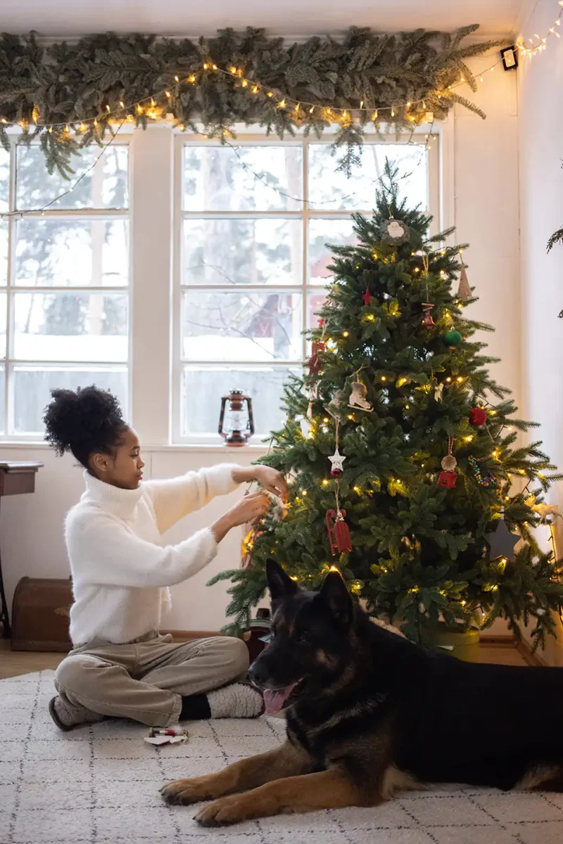 Guirlandes de Noël aux fenêtres.