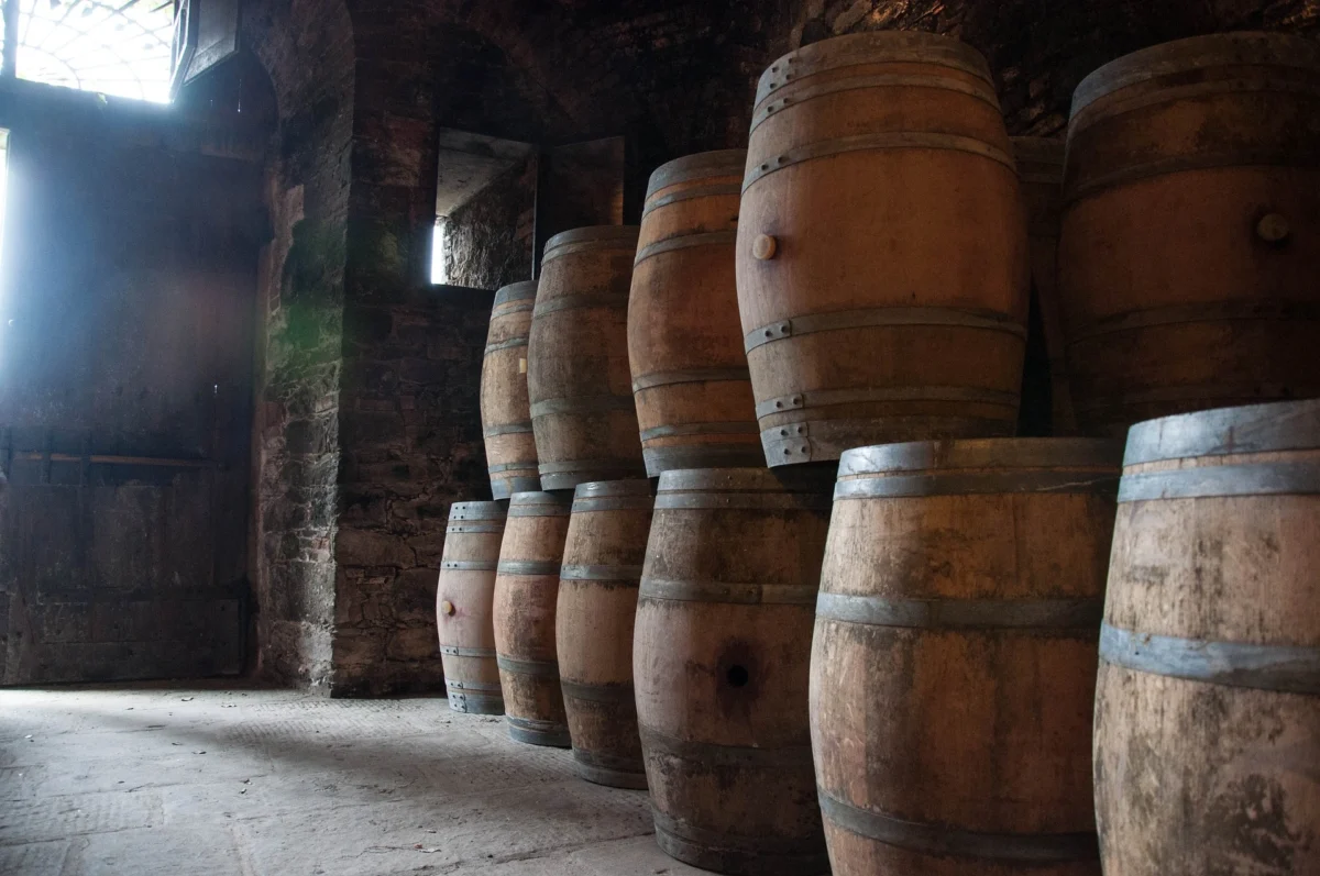 barriques de vin toscan