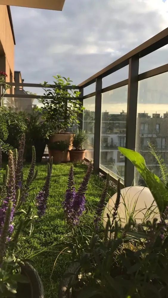 des fleurs sur le balcon