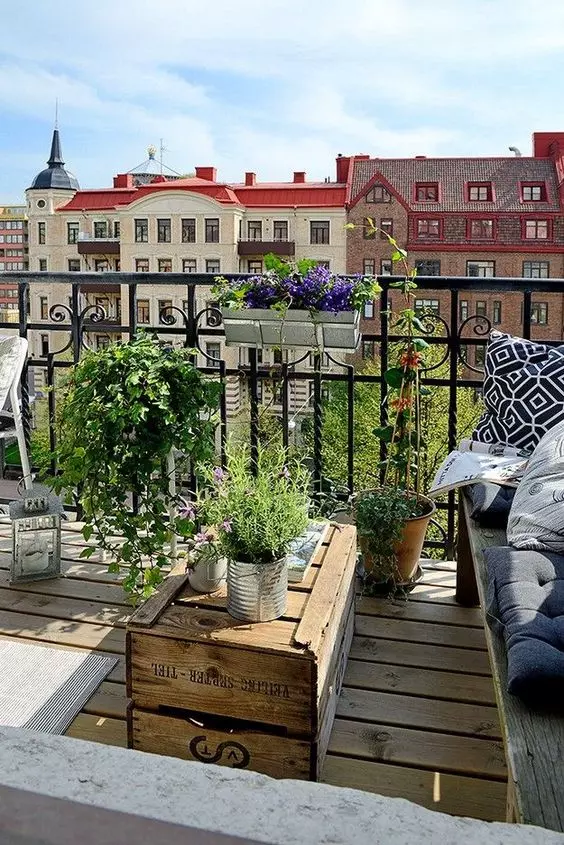 faire pousser des herbes sur le balcon